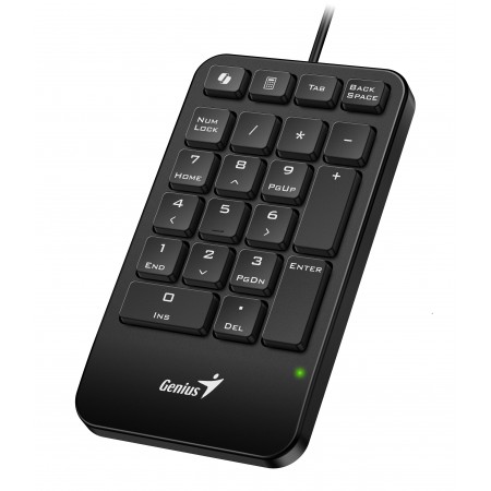 Genius Keyboard Numeric Pad Wired AI w/Palm Rest USB-A NumPad 125