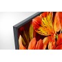 Sony FW-55BZ35F signage display 139.7 cm (55") LCD 4K Ultra HD Digital signage flat panel Black Wi-Fi